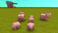 《迷你世界》猪怎么繁殖